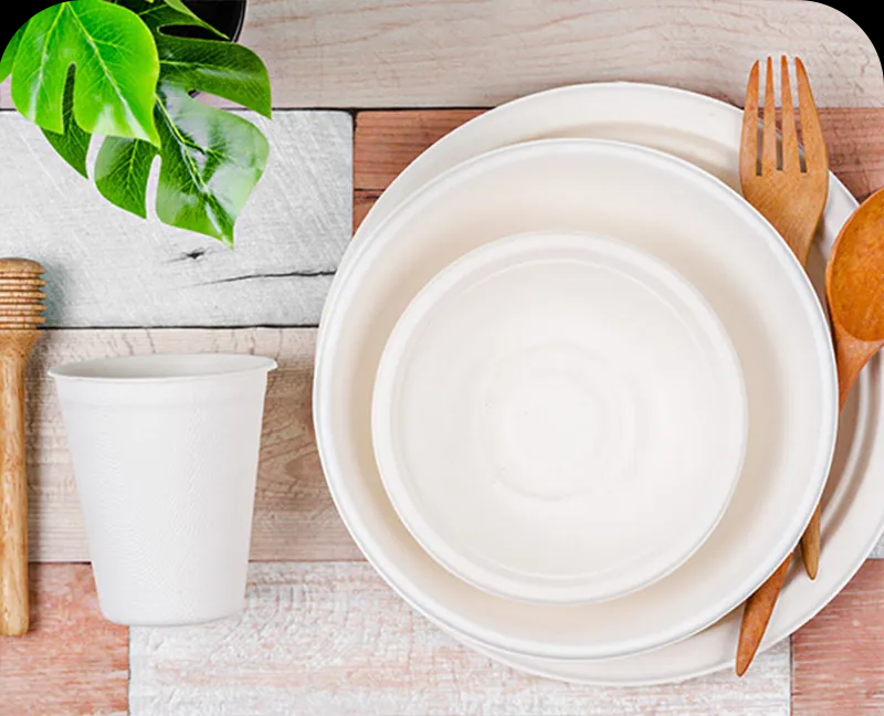 微信图片_20241210092323