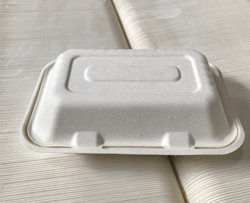 Pakyawan na Mga Lalagyan ng Pagkain na Itatapon